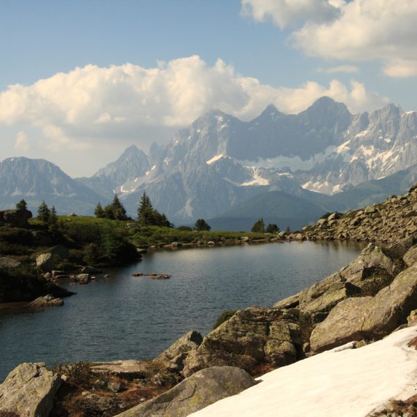 1355a_28_06_2010EOS 40D